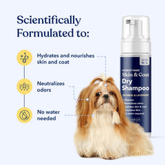 Honest Paws Champú en seco para perros cuida piel y pelo para pelaje sano.
