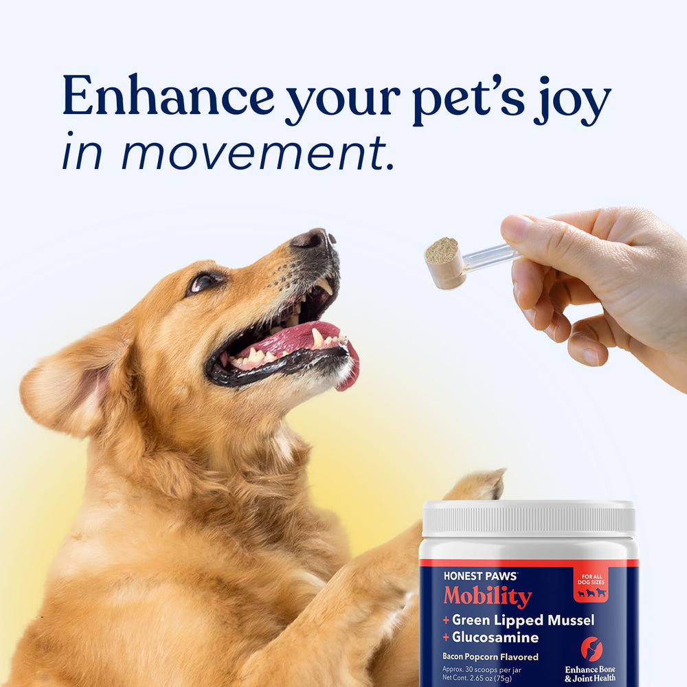Hecho en EE.UU. Honest Paws sin OGM para perros activos.