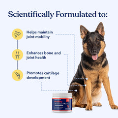 Honest Paws mejillón labio verde: mayor flexibilidad y absorción de impactos.