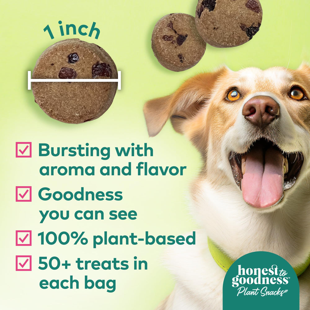 Honest to Goodness Buddy Boost, arándano y granada, apoyo inmunitario para perros.