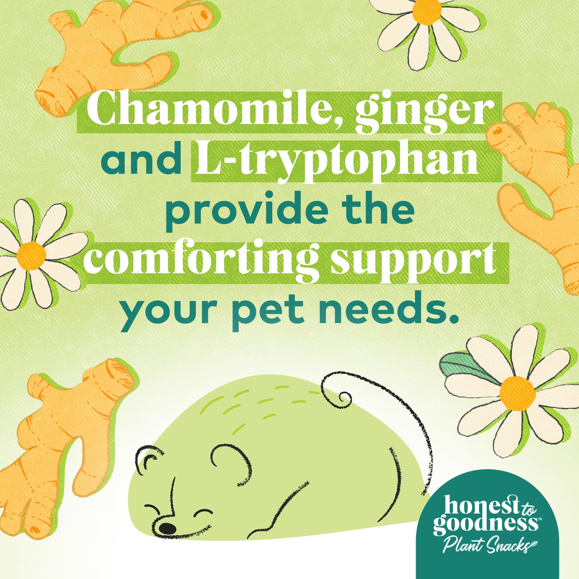 Honest to Goodness Snacks destaca aceite de microalgas para Omega-3 y vitalidad.