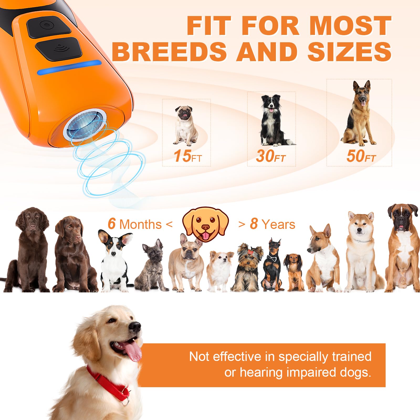 Honey Paws adecuado para interiores y exteriores sin vibración.