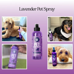 HONEYDEW Lavanda para Perros, eliminador de olores en atomizador.