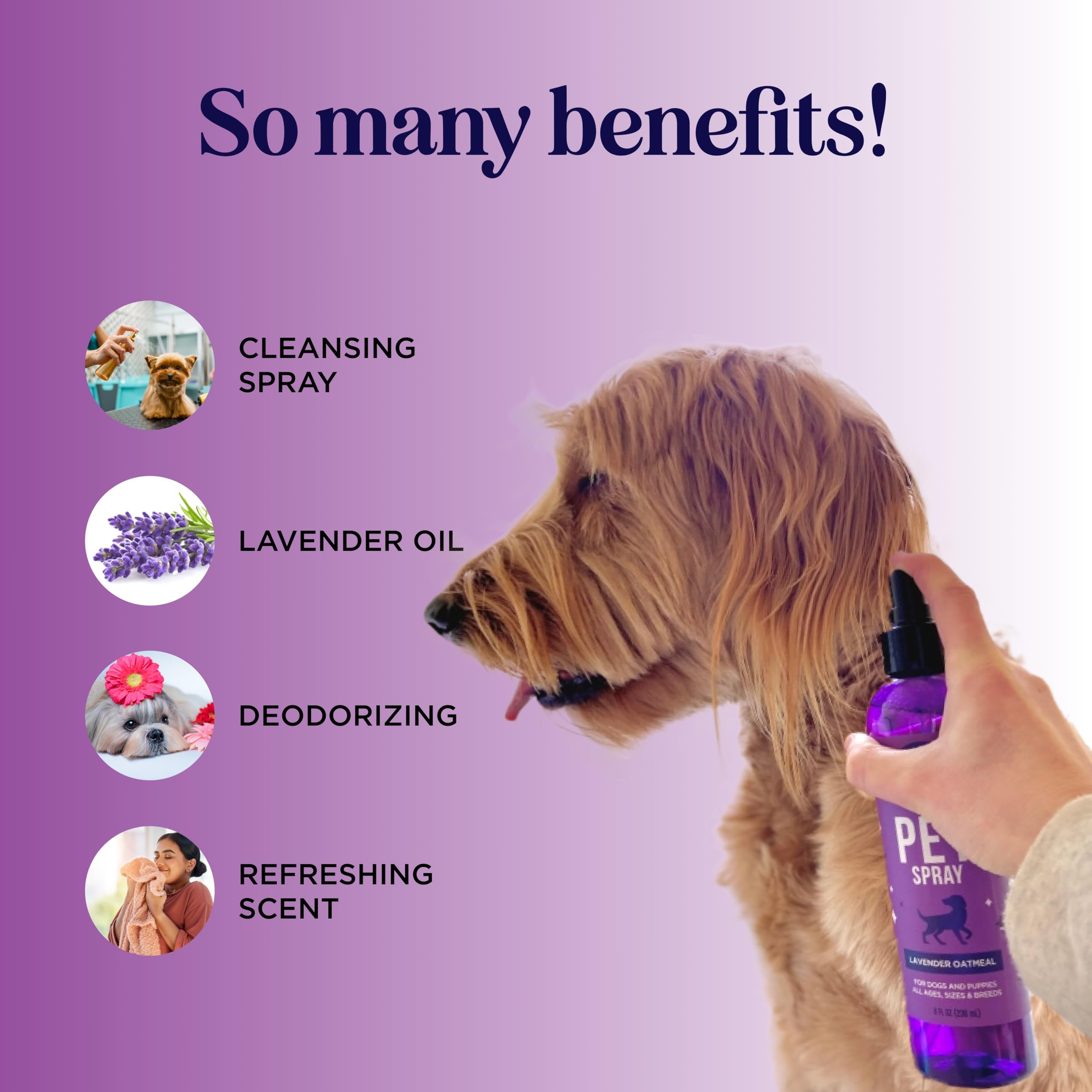HONEYDEW Lavanda para perros, frasco con aroma ligero para uso diario.