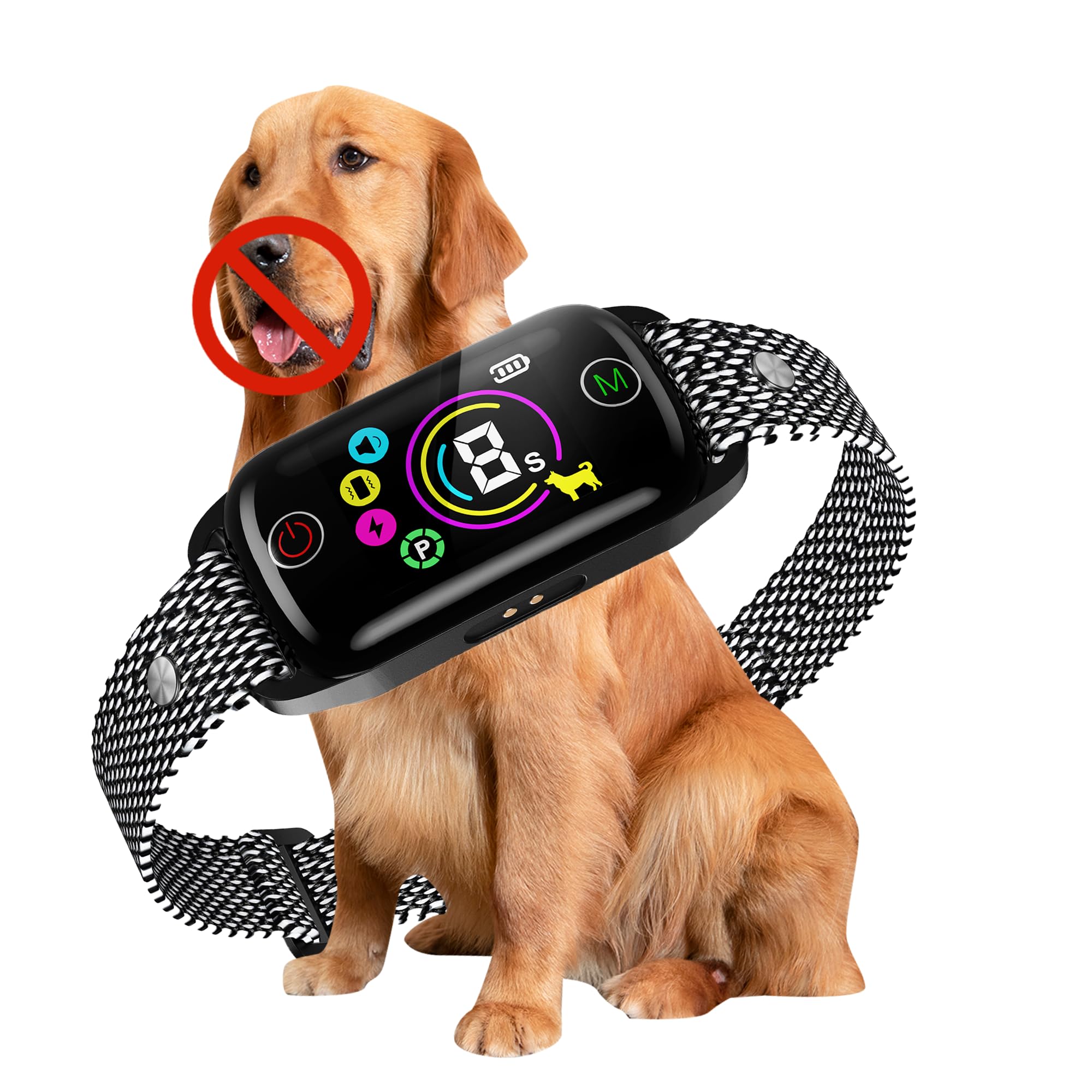 Honeynet collar anti ladrido en uso diario para perros de todos los tamaños.