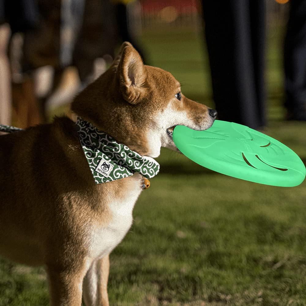 Disco grande HONGEZEY, perfecto para perros activos en patios y playas.