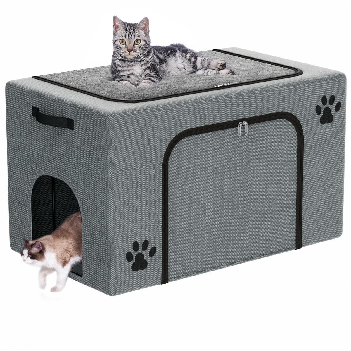Honiakaka recinto-caja-arena con cama de gato, vista frontal para mayor orden y confort.