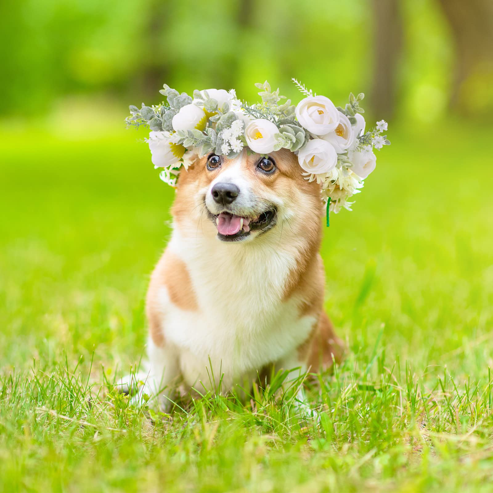 Honoson detalle flor-perro: pétalos duraderos para uso repetido