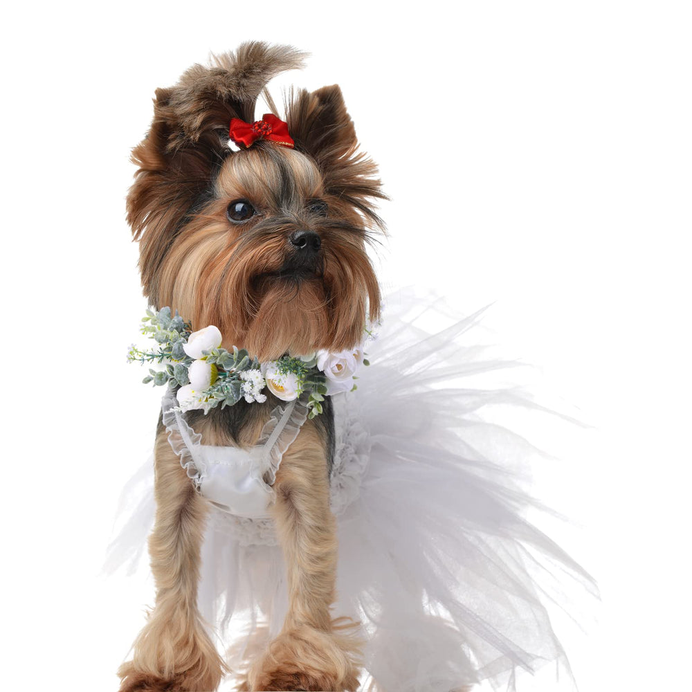 Honoson regalo para perros: detalle estiloso y artesanal