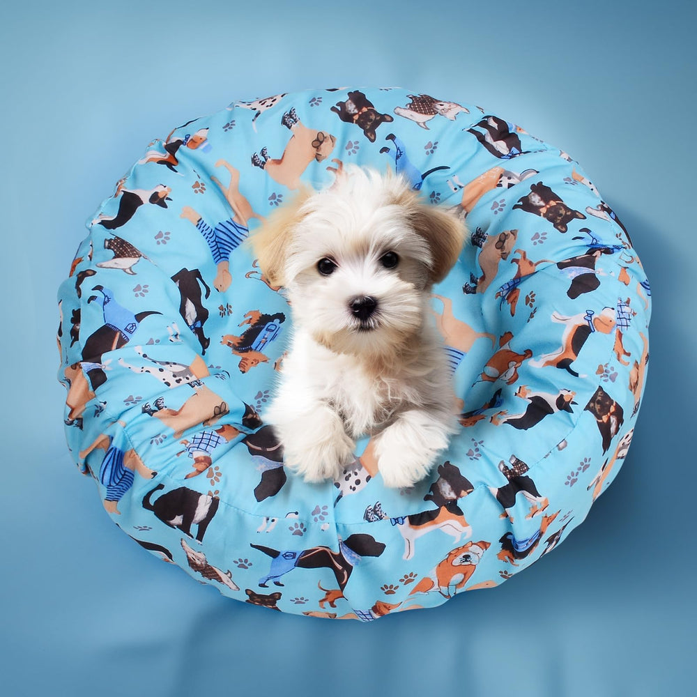 Hoopttay tapa con diseño de patitas azul, aporta estilo y comodidad para la mascota.