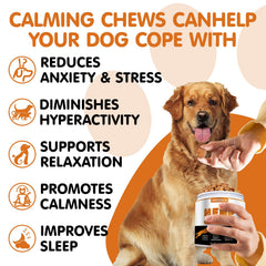 Hoozzch gomitas calmantes para perros, textura visible, experiencia suave para una tarde más tranquila.