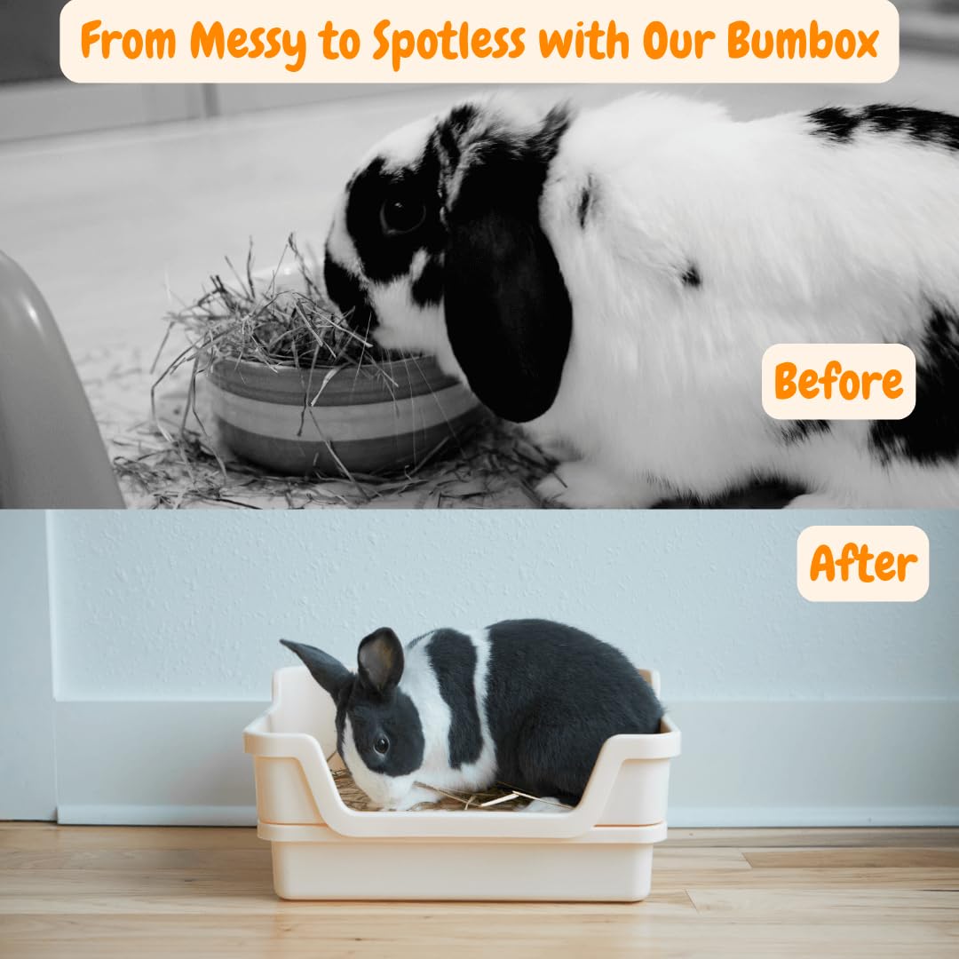 HoppScotch.bun Bumbox rejilla plástica que protege las patas