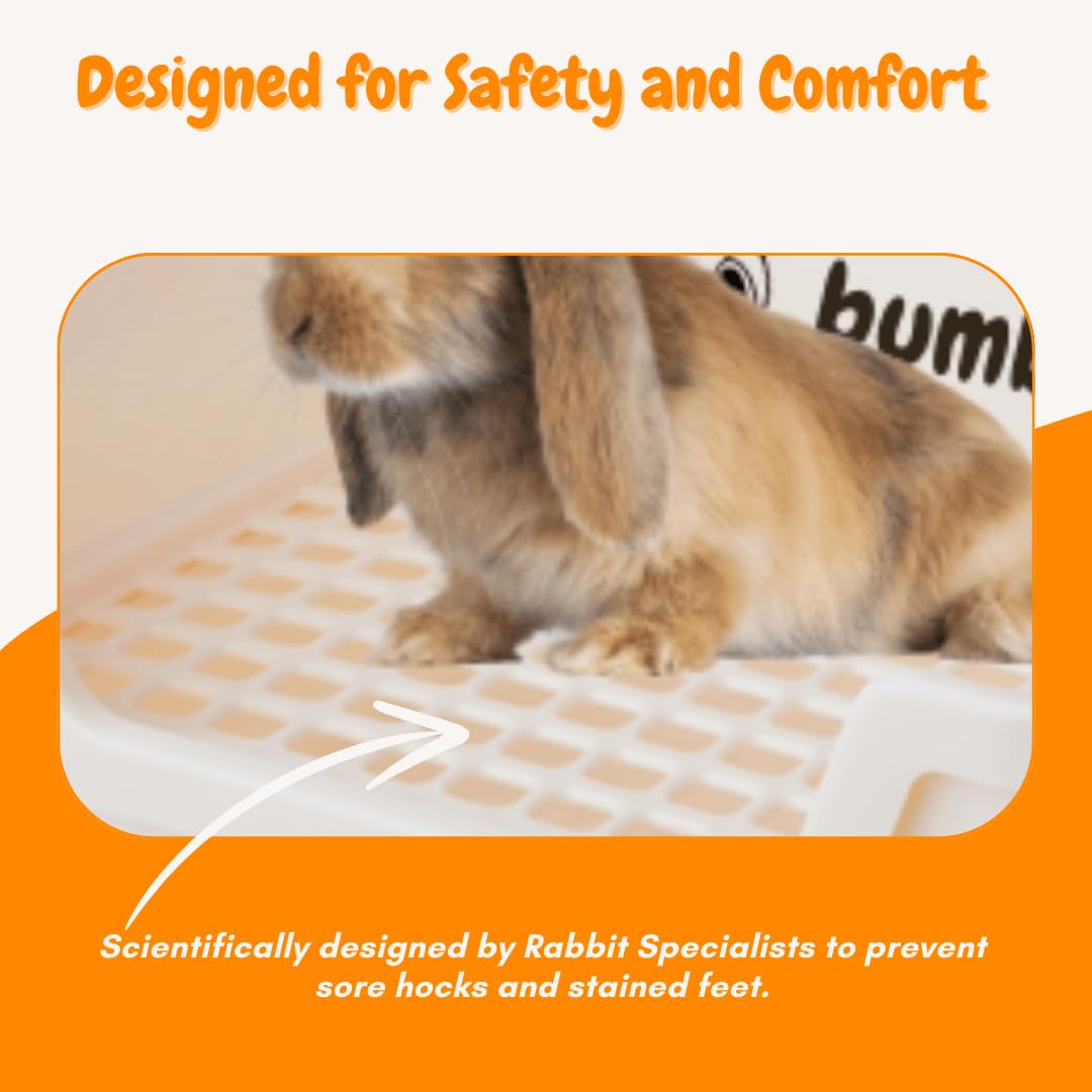 HoppScotch.bun Bumbox apta para uso interior y exterior