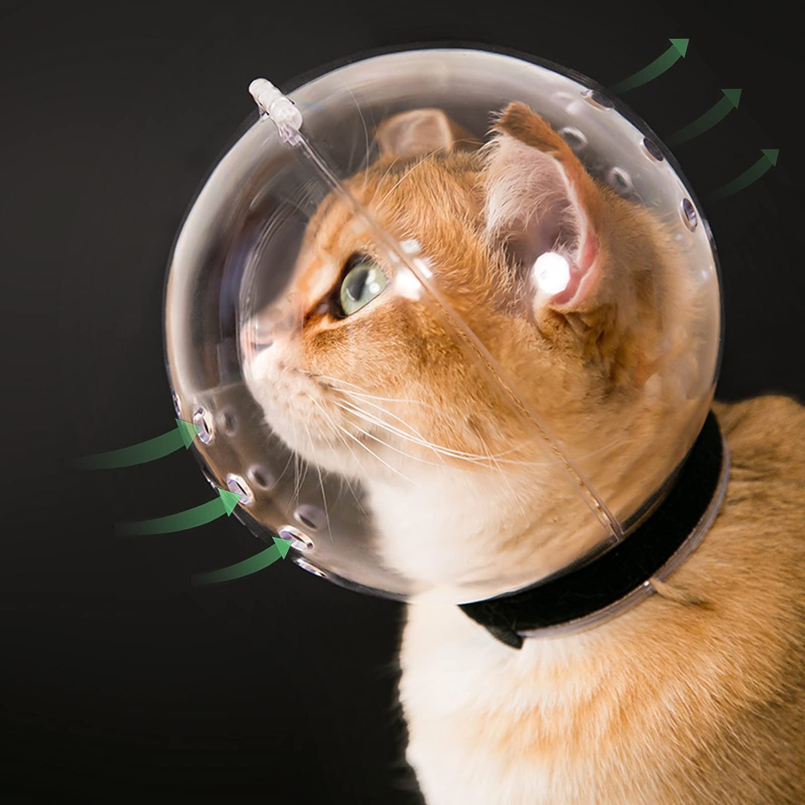 Hoqqf casco gato transparente para ver entorno durante el cuidado del pelaje sin estrés.