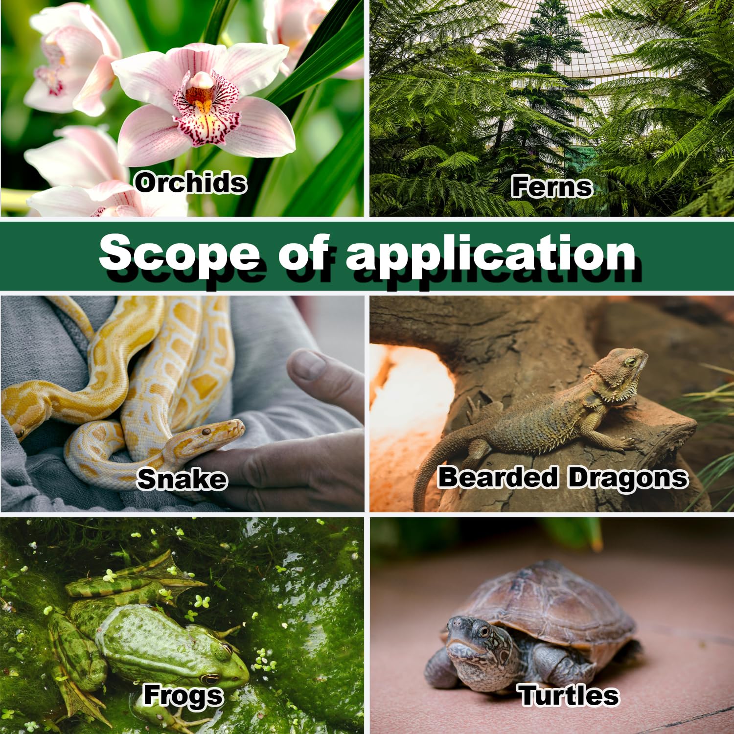 Hoqqf sirve para reptiles, anfibios y plantas tropicales.