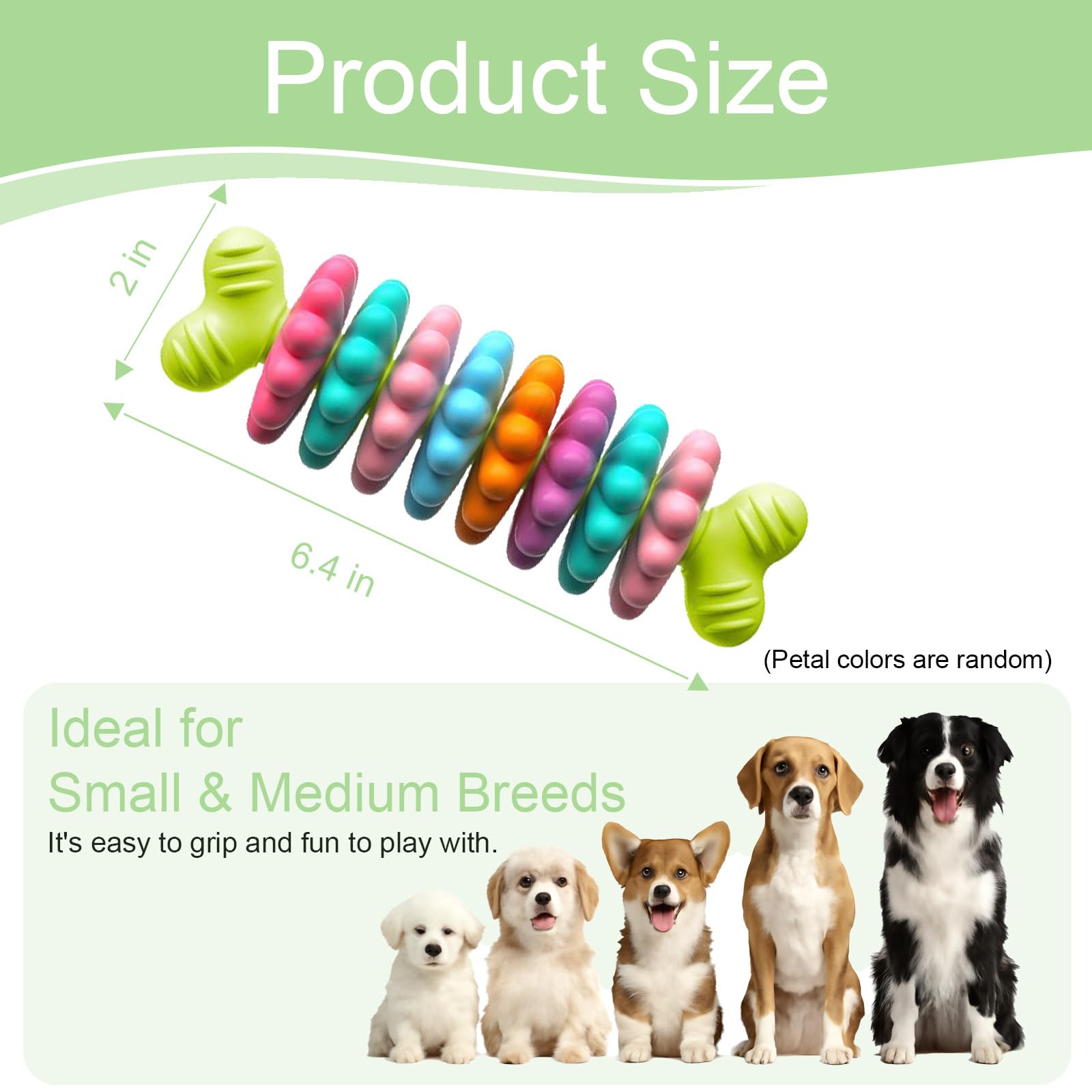 HORIBND Regalo ideal para cachorros de 0 a 6 meses.