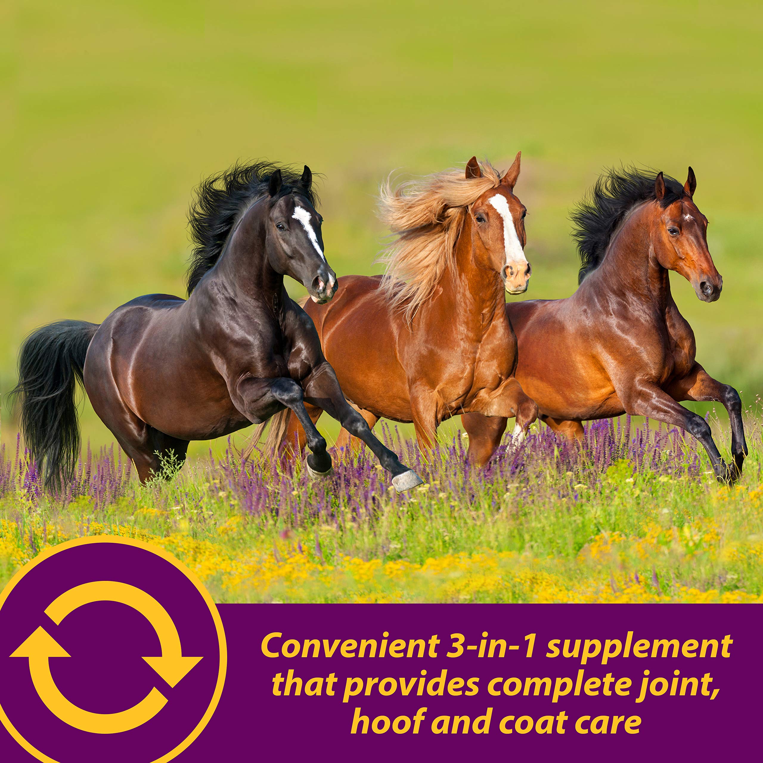 Horse Health Combinación glucosamina-condroitina: apoya lubricación y salud del cartílago.