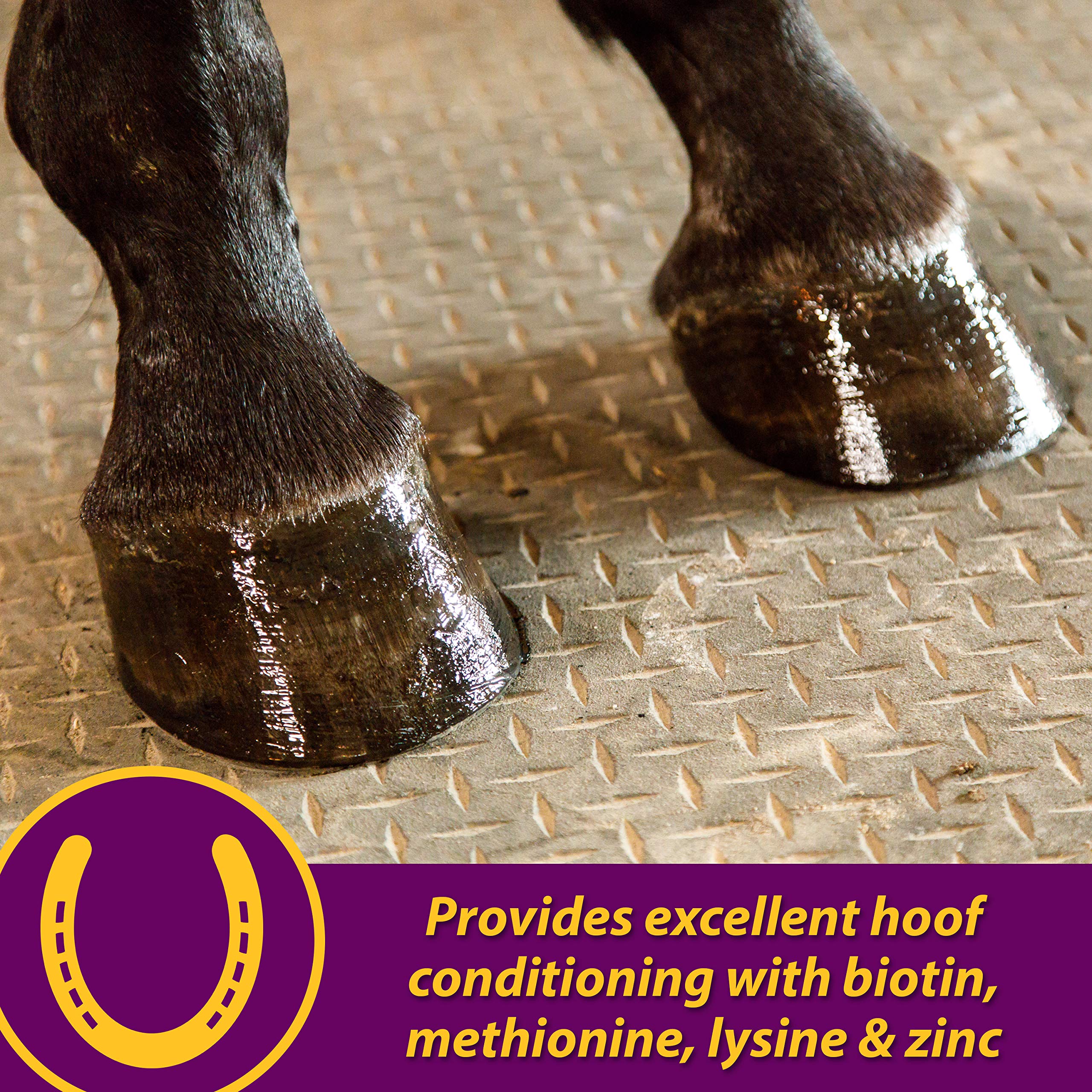 Horse Health Combinación omega-3-6-soja-linaza: beneficios para piel y pelaje.