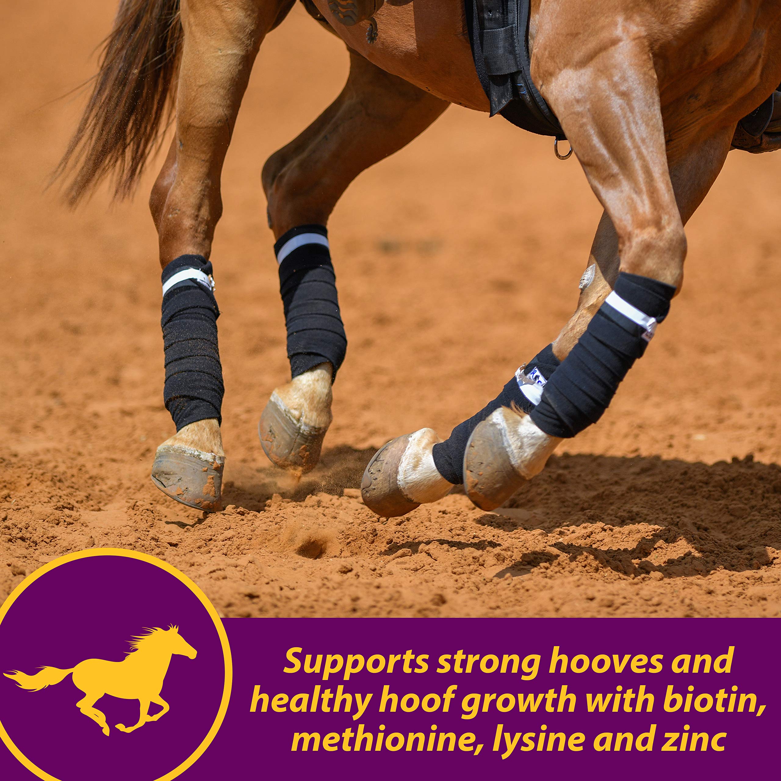 Horse Health Combinación textura-pellets: pellets atractivos que facilitan la ingesta diaria.