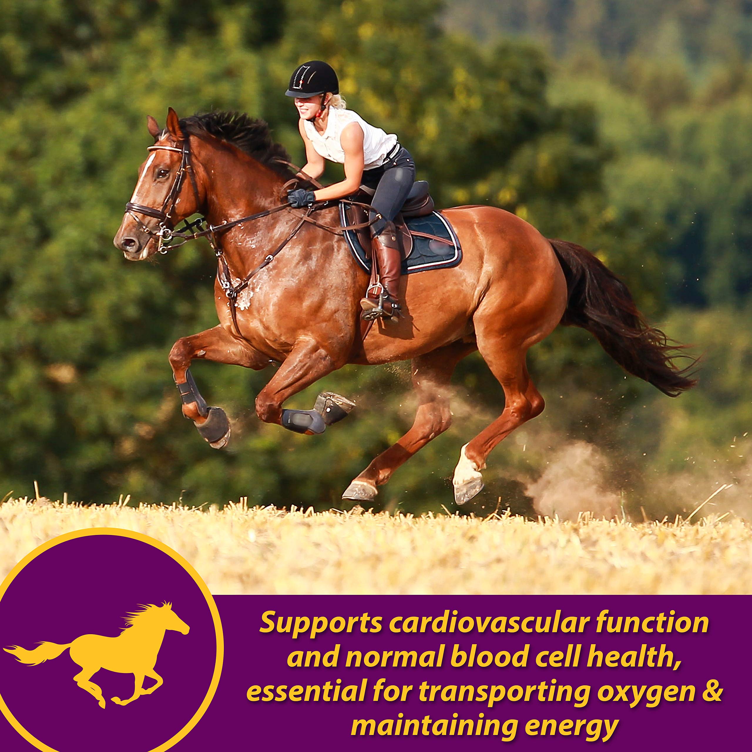Horse Health Red Cell Pellets, lista de ingredientes clave para caballos