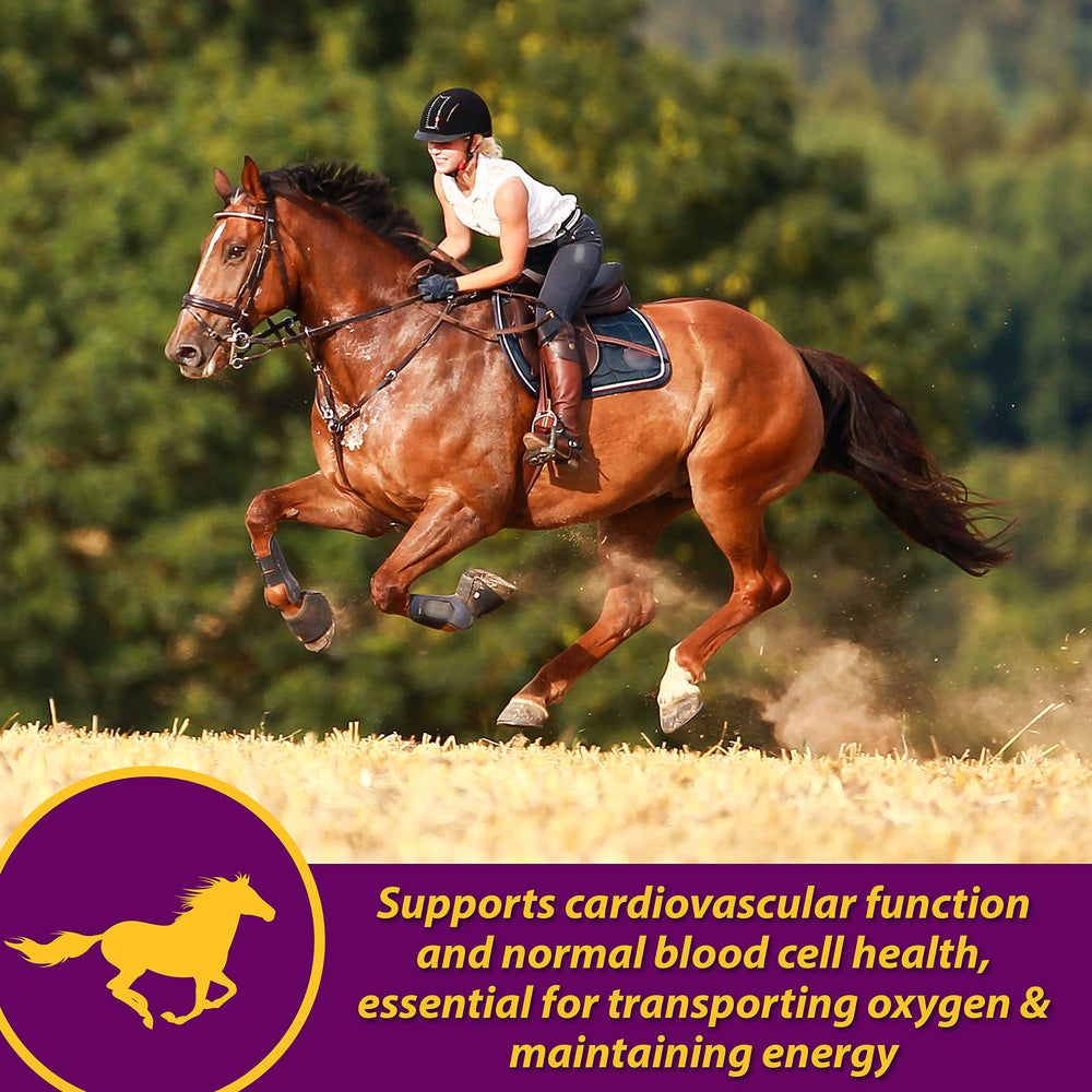 Horse Health Red Cell Pellets, lista de ingredientes clave para caballos