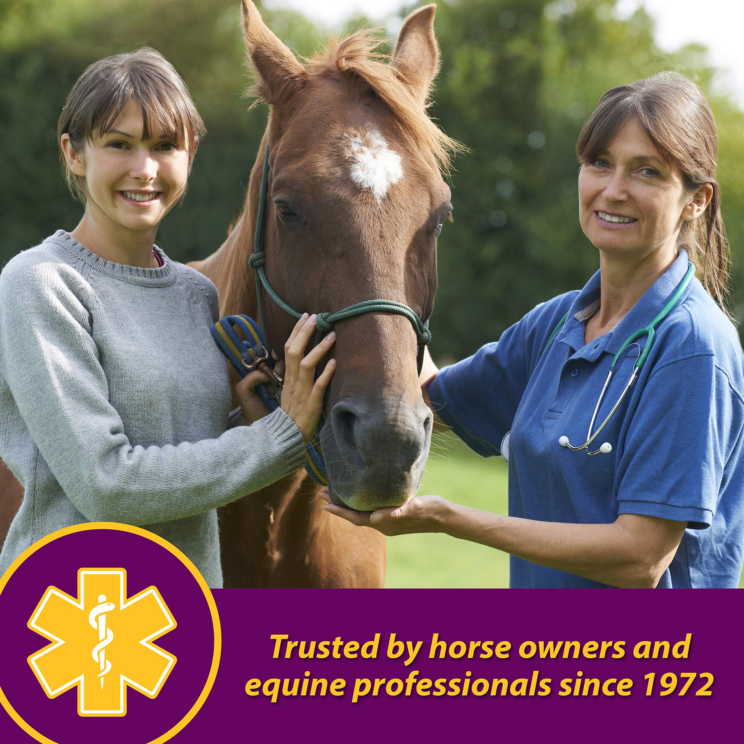 Horse Health Red Cell Pellets apto para caballos de todas las edades