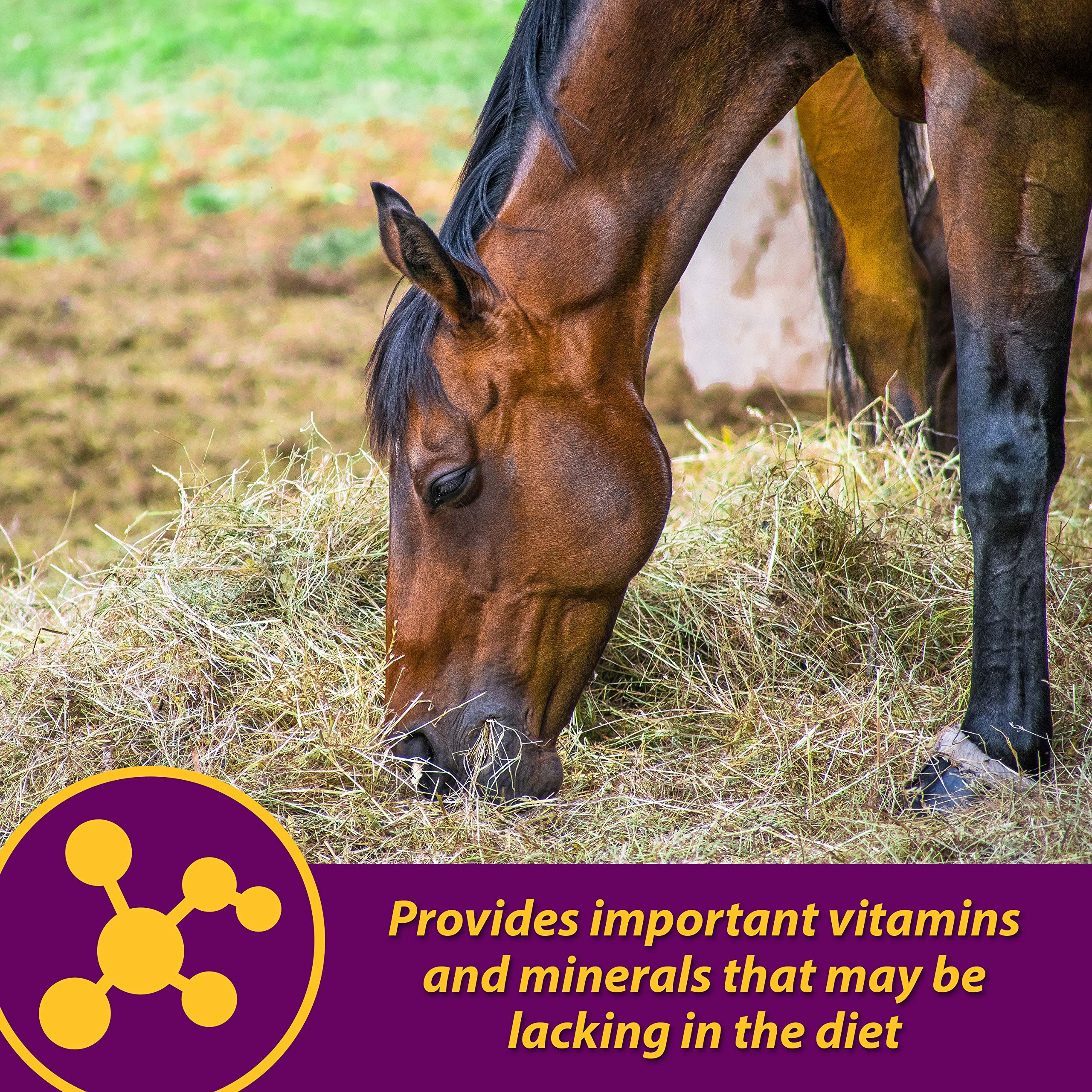 Horse Health Red Cell Pellets porción diaria fácil de usar