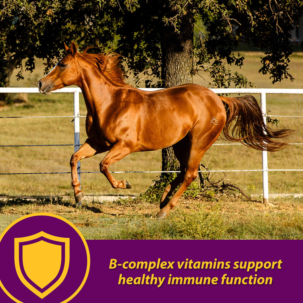 Horse Health Red Cell Pellets sabor yucca para paladar sensible