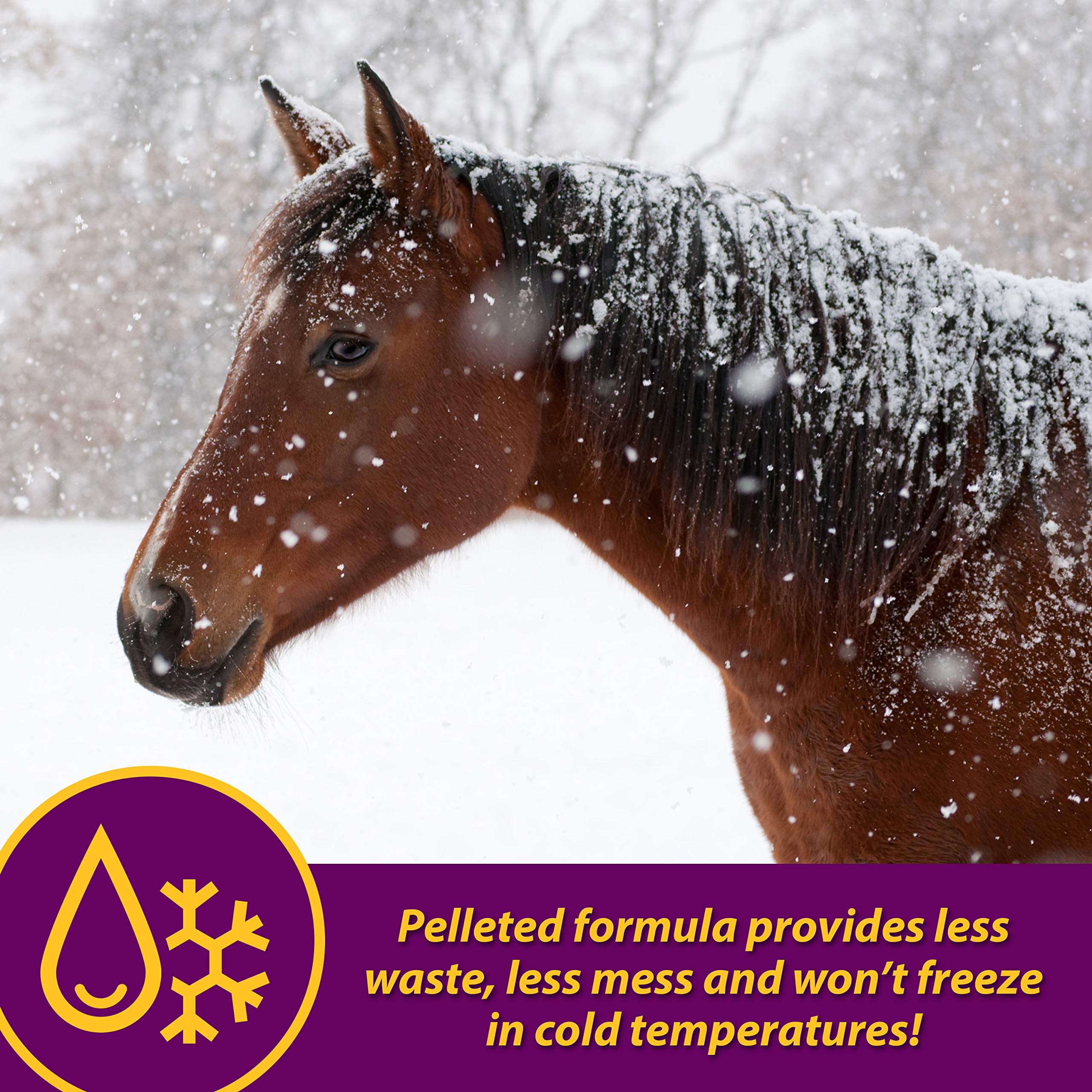 Horse Health Red Cell Pellets para apoyar el sistema inmunitario del caballo