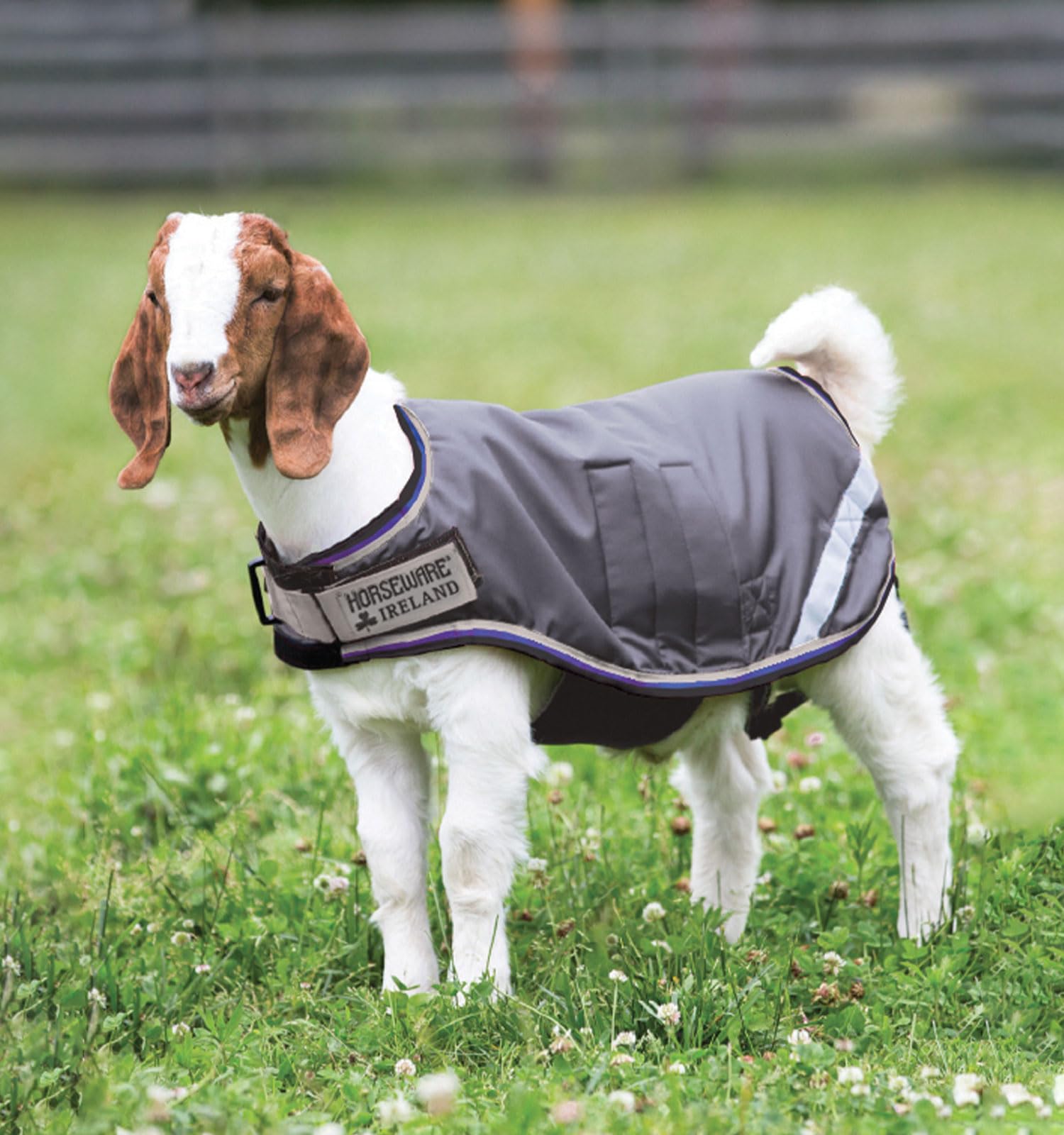Horseware abrigo cabra 100 g ligero ajuste-cuello para comodidad.