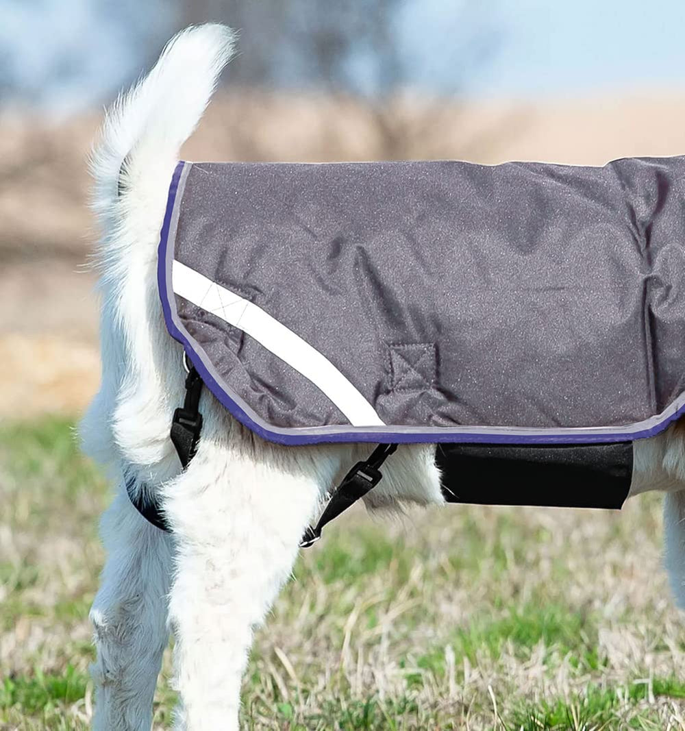 Horseware abrigo cabra ajuste-10cm: adaptable a cuellos y contornos.