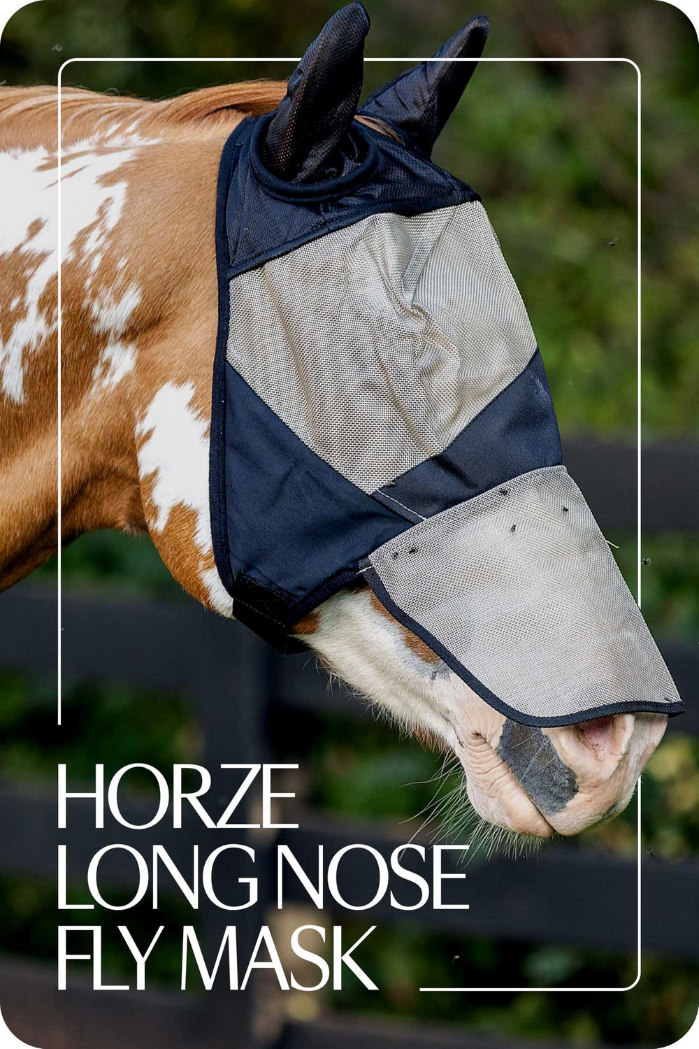 HORZE fácil de colocar y quitar, ideal para sesiones de manejo diario.