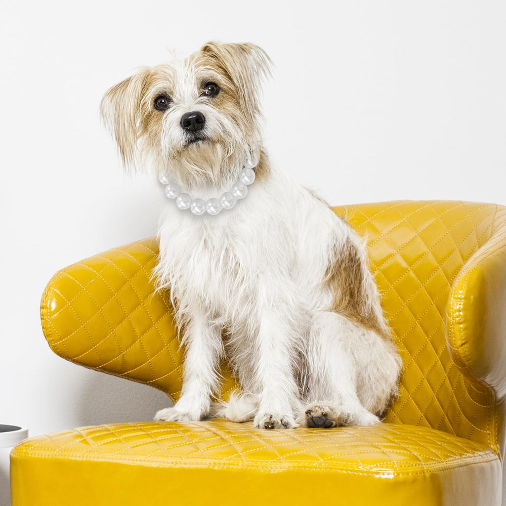 Regalo ideal de Hosiwei para amantes de perros con estilo