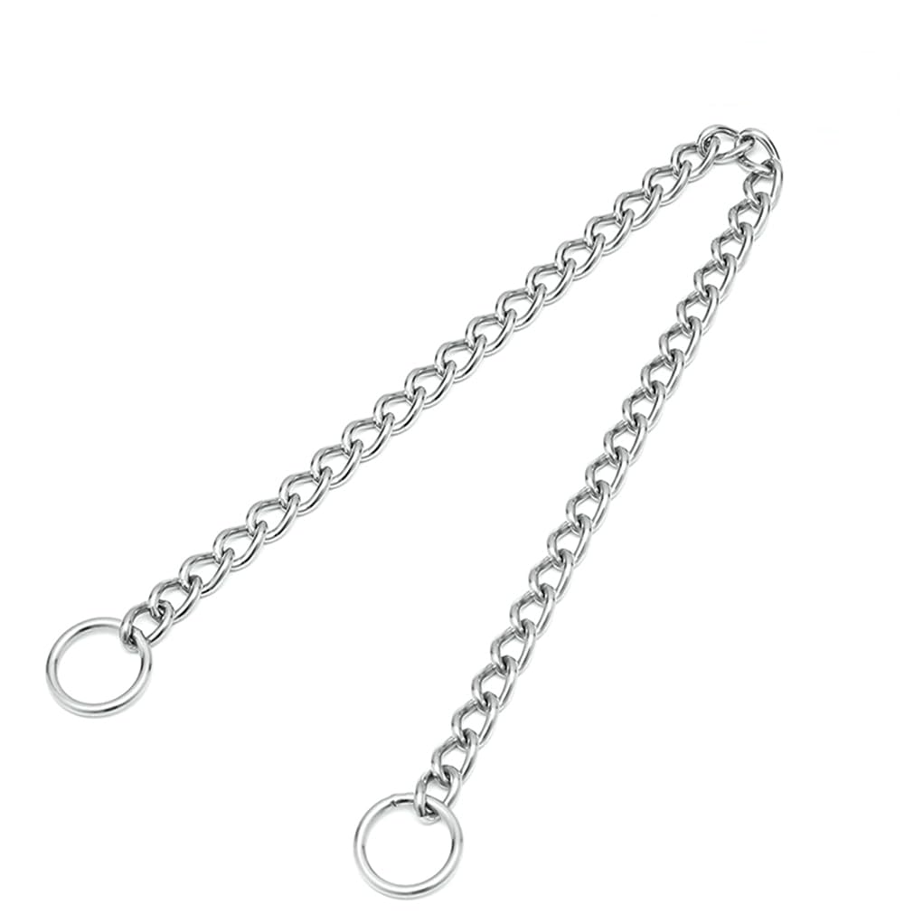 Hotlion collar apto para diversas razas y tamaños