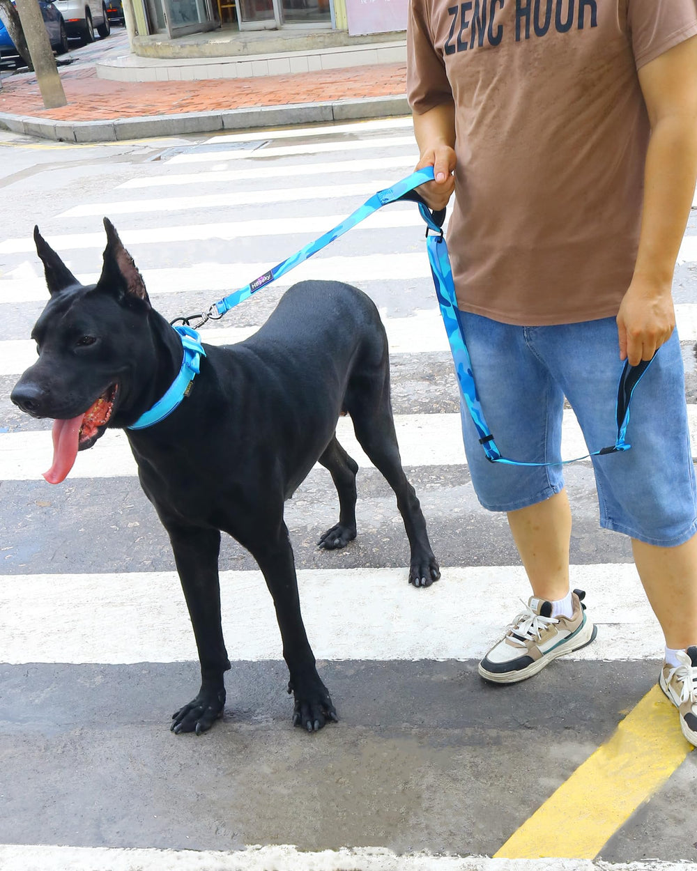 Hotsky correa nailon resistente para perros de todos tamaños