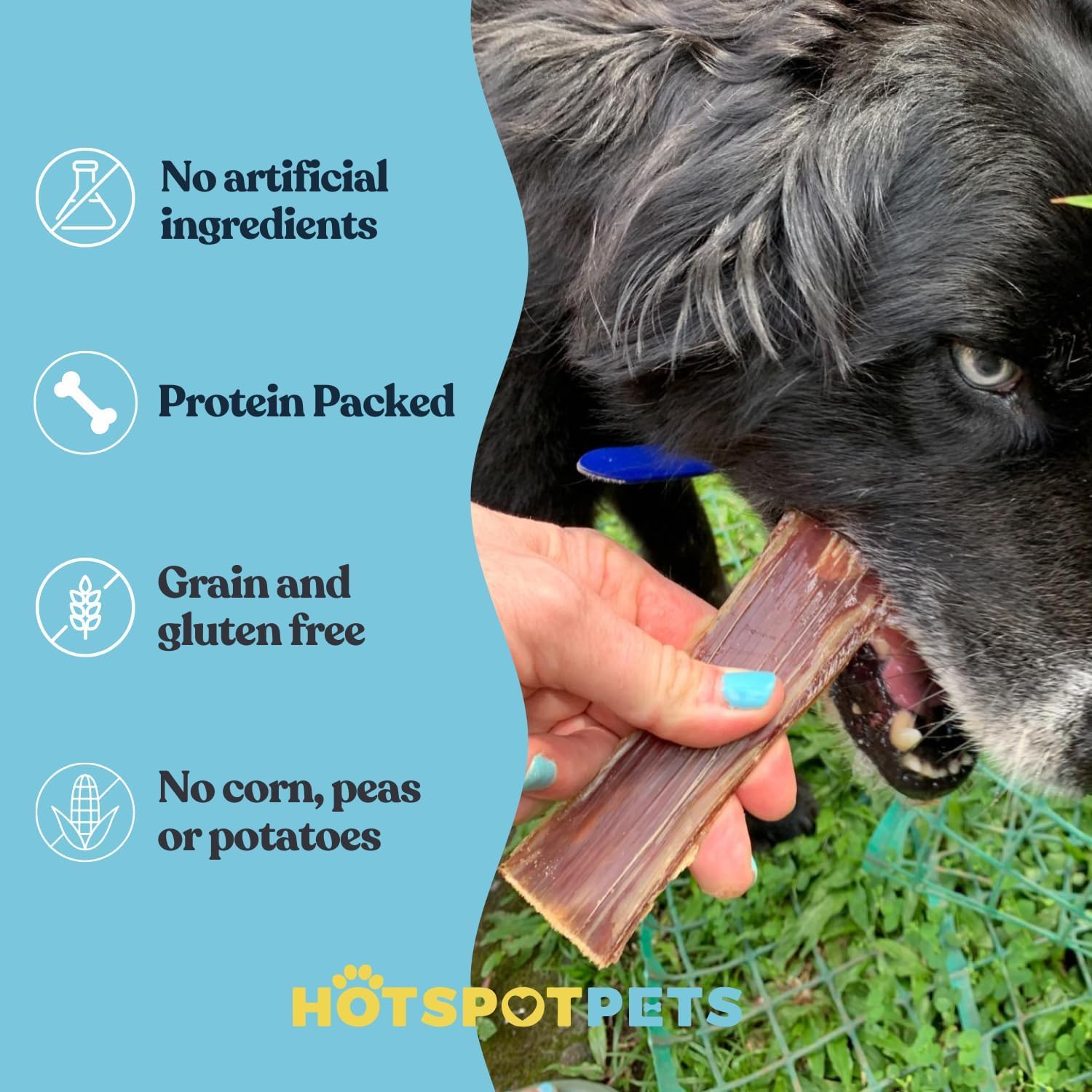 Hotspot Pets ingrediente único: carne de res de ganado alimentado con pasto.