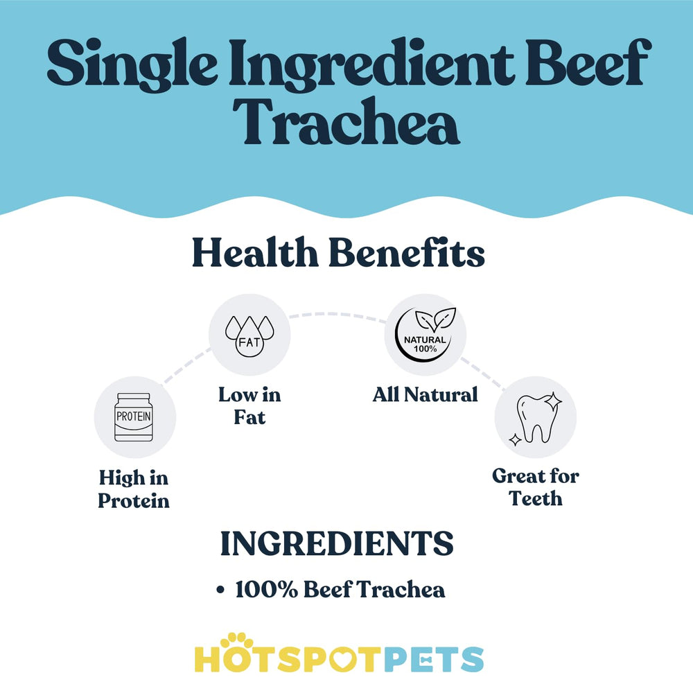 Perro disfruta de la tráquea de res de Hotspots Pets.