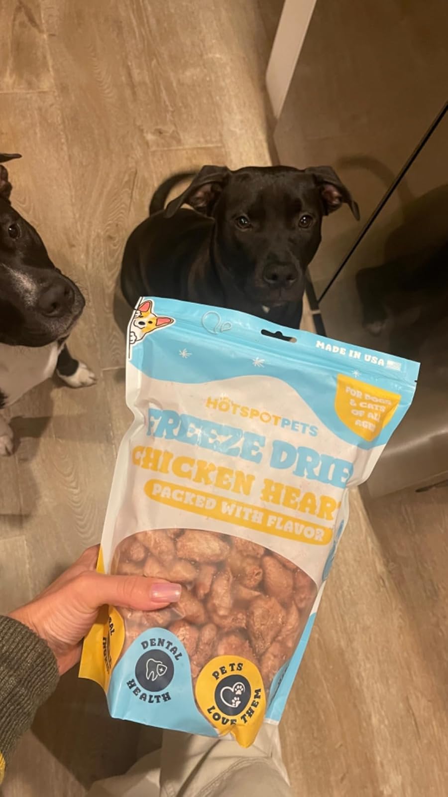 Hotspot Pets ideal como premio diario o como aderezo sobre croquetas
