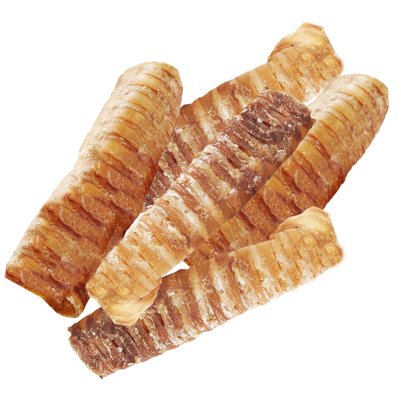 Hotspots Pets tráquea de res premium de 6 pulgadas para masticación sabrosa.