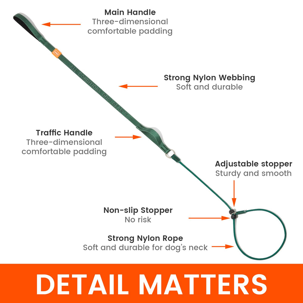 Howgo: nylon resistente, ideal para perros grandes y fuerza de tracción.