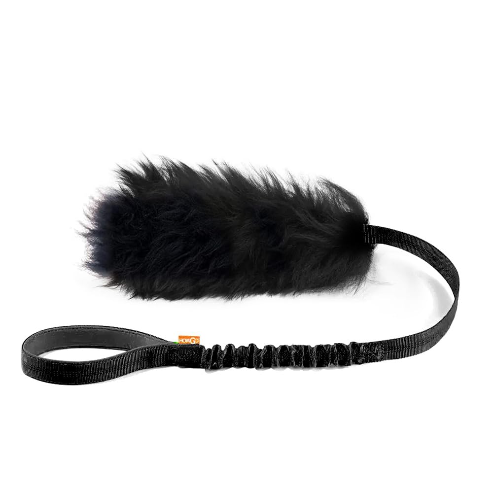 HOWGO Juguete de cuerda para perros: juego interactivo que fortalece el vínculo.