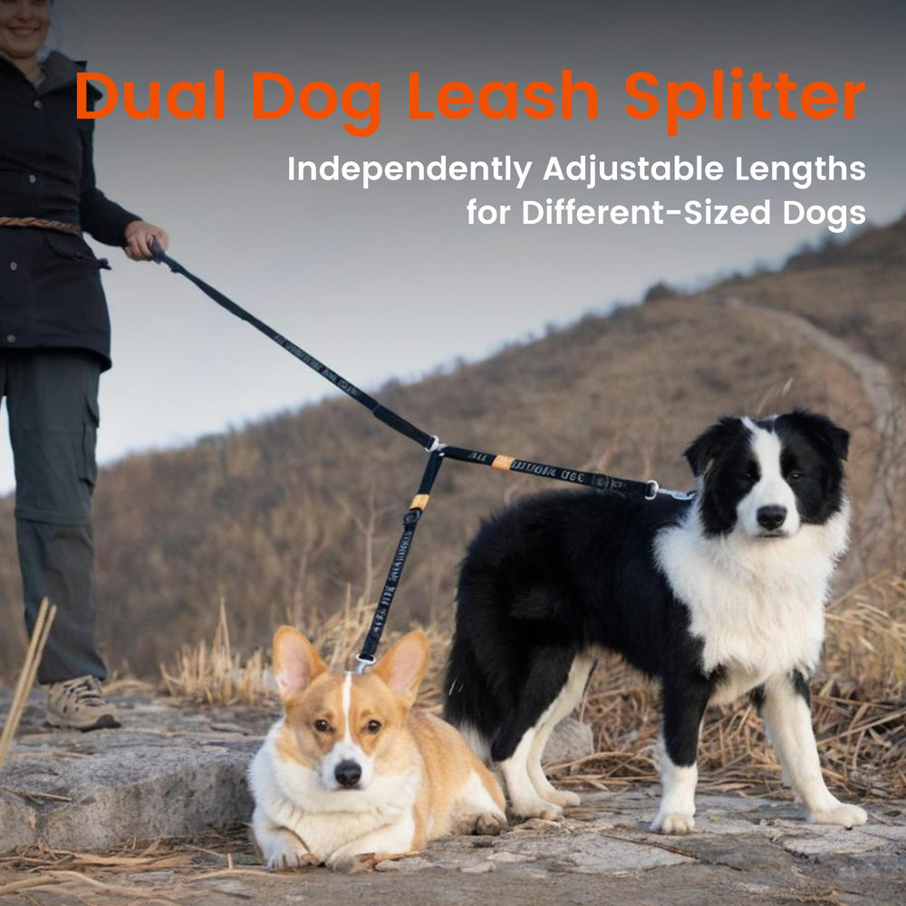 HOWGO nylon resistente: durabilidad para uso diario con dos perros