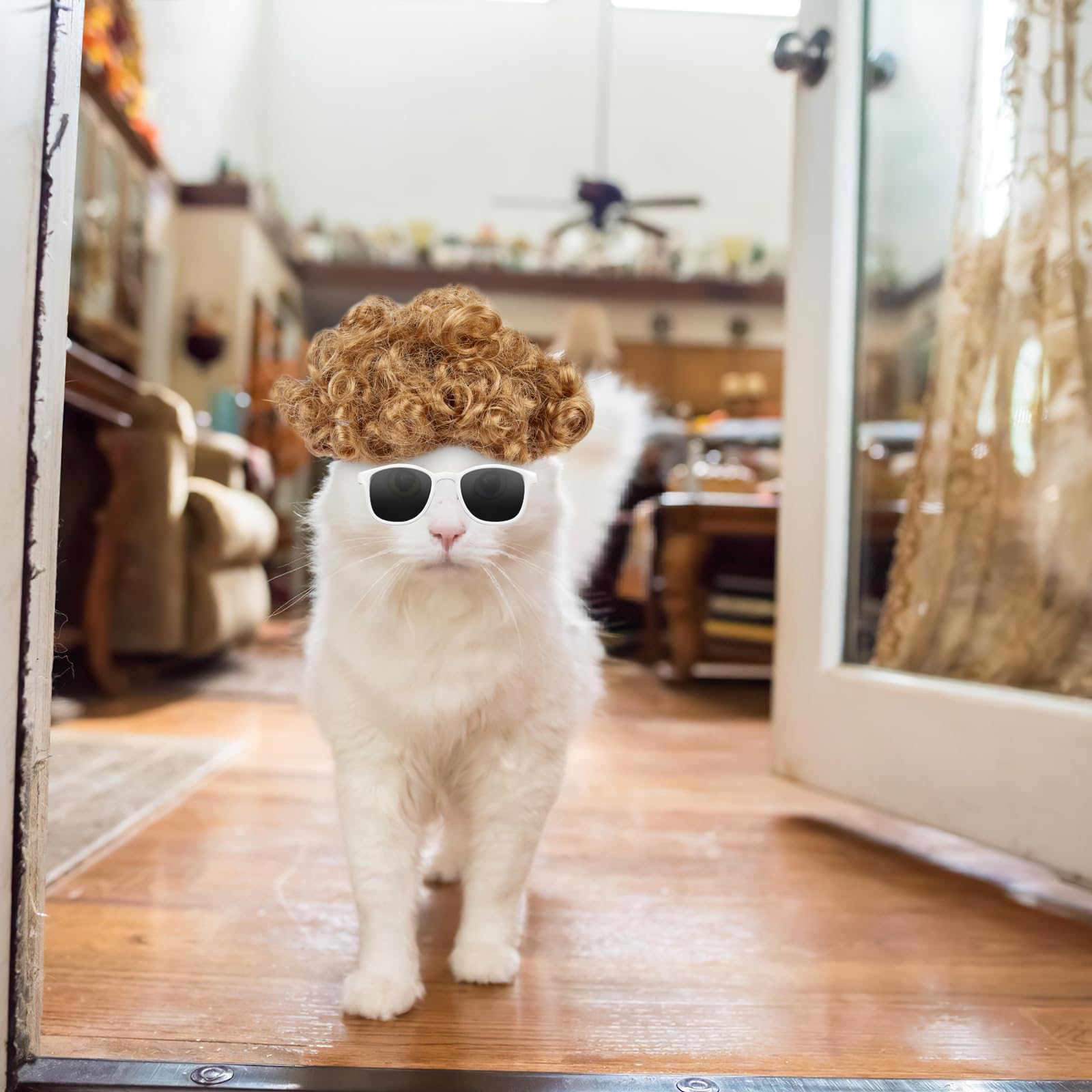 HOWWFALY conjunto de peluca y gafas para fotos divertidas de mascotas