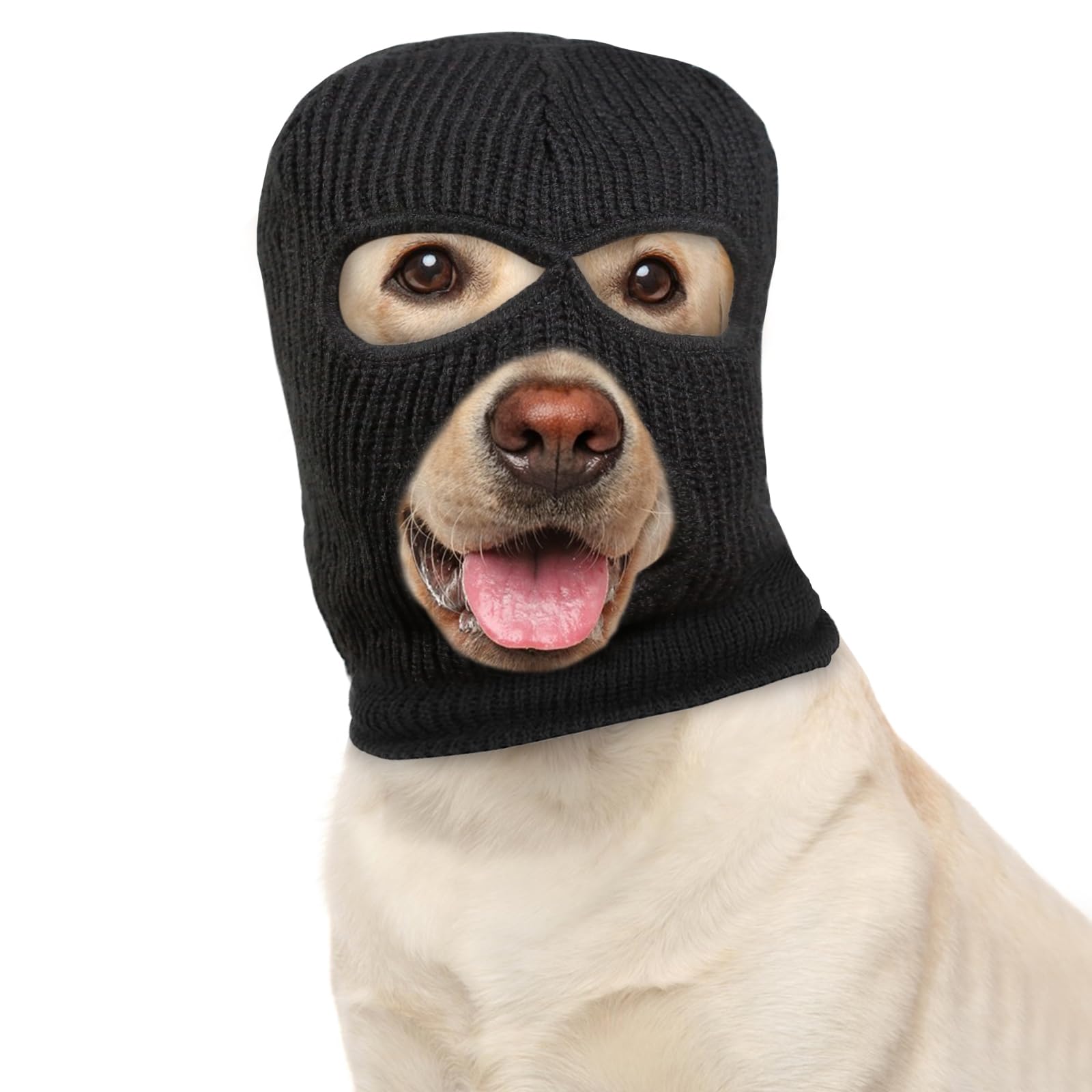 HOWWFALY: perro con disfraz navidad orejas tejidas, ideal para fiestas.