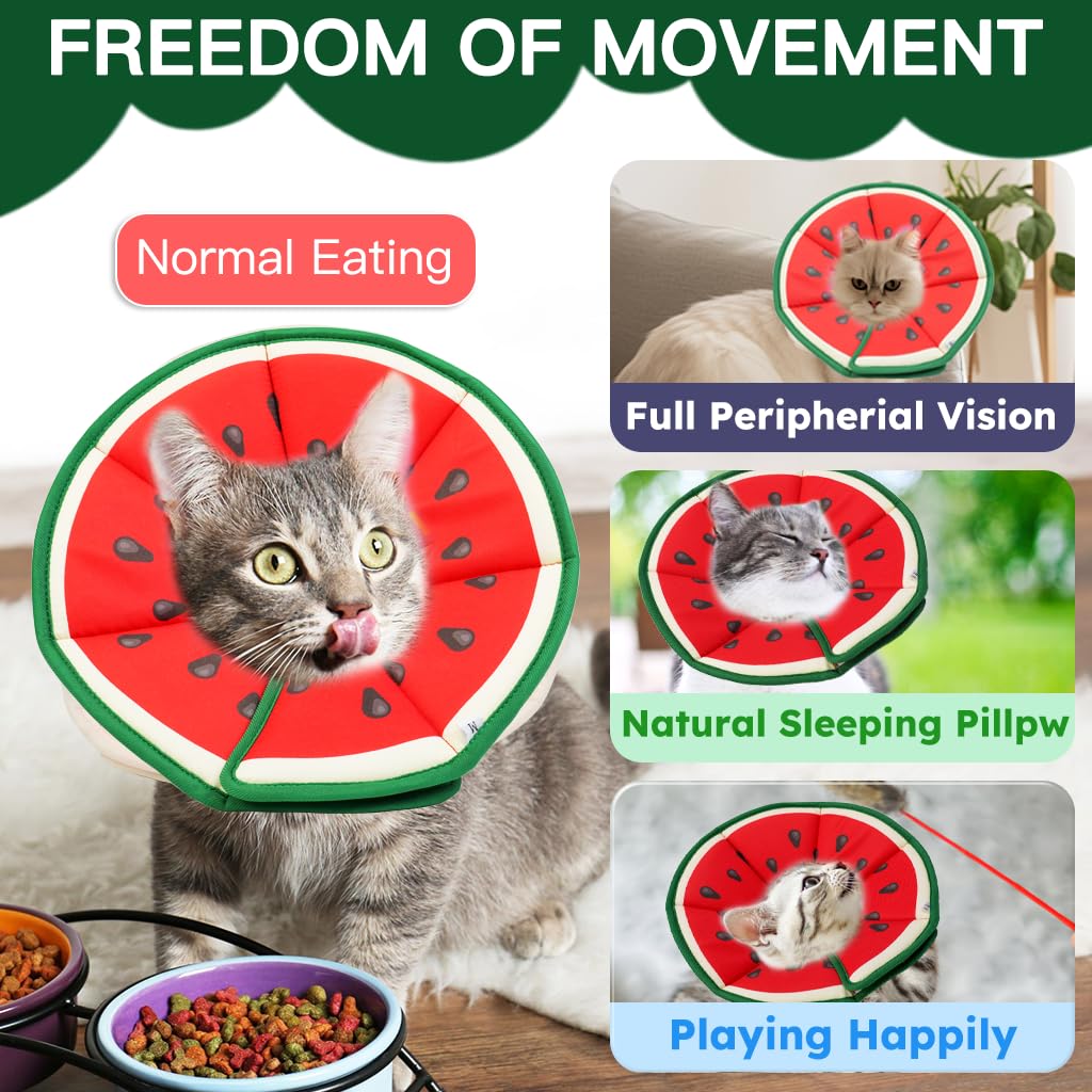 Cono Hpetppy ligero, permite movimiento libre para comer
