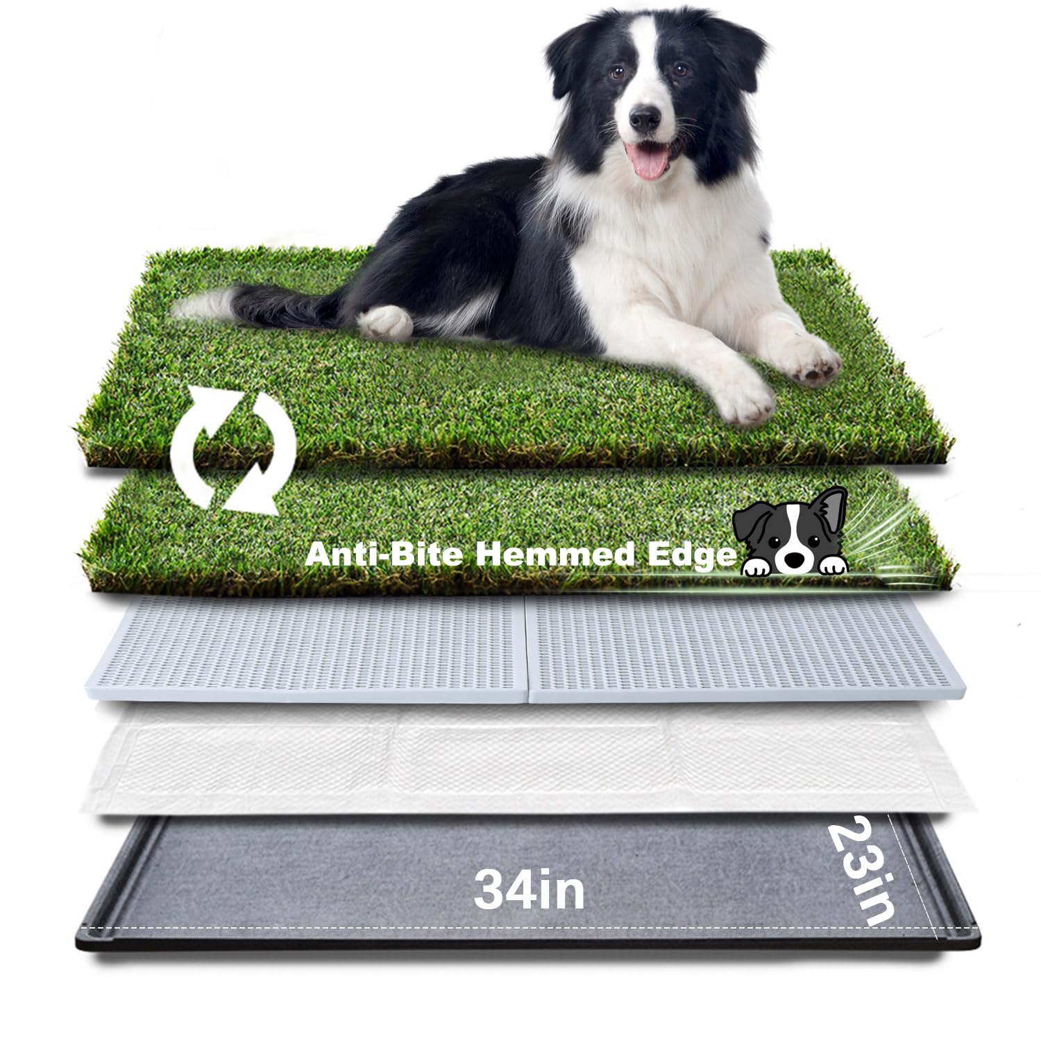 HQ4US 4LEGS bandeja con pasto artificial grande 34×23, ideal para entrenamiento diario