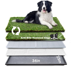 HQ4US 4LEGS bandeja con pasto artificial grande 34×23, ideal para entrenamiento diario