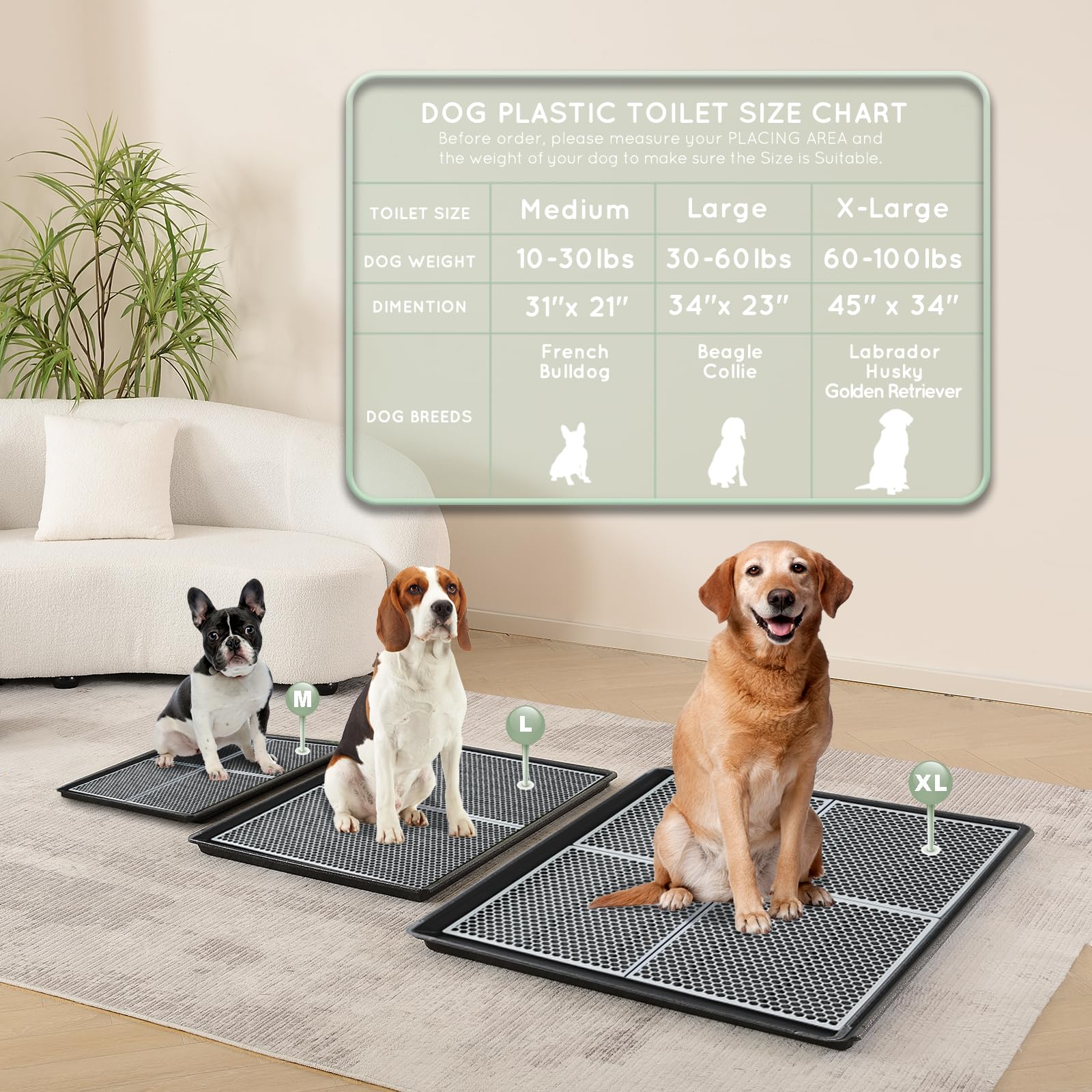 HQ4US 4LEGS técnica de entrenamiento suave para hábitos de baño.