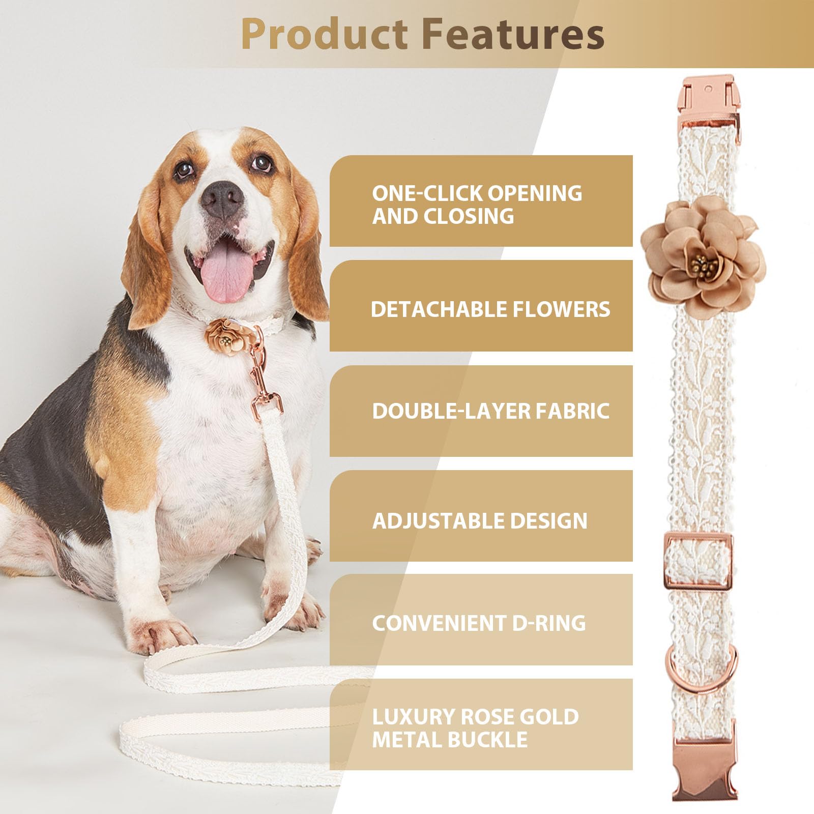 HQREA tallas ajustables collar perro, medir para un ajuste seguro.