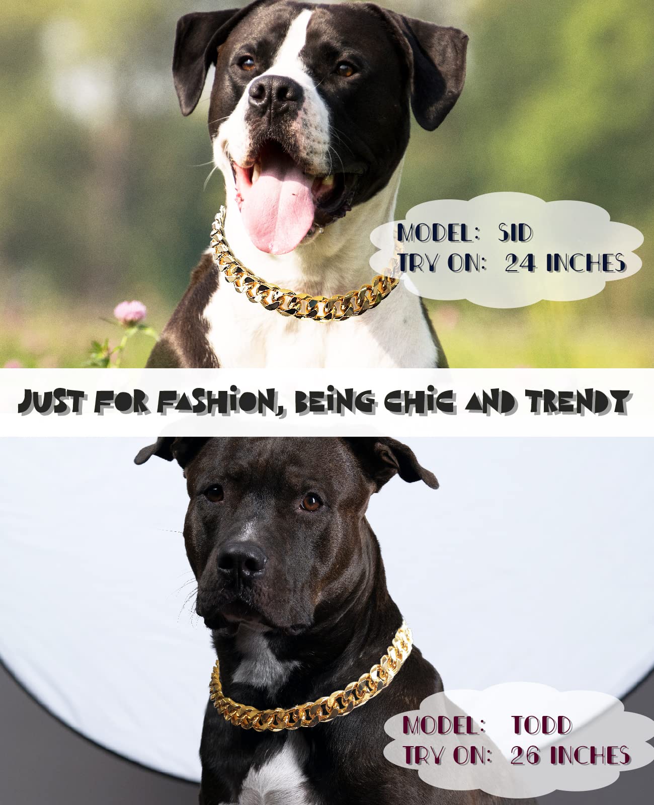 HQSHNY collar cubano para perro francés, estilo moderno y atemporal.